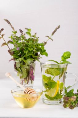 Limon ve nane cam vazo içinde sunulan bir demet taze nane çayı iki cam bardaklar