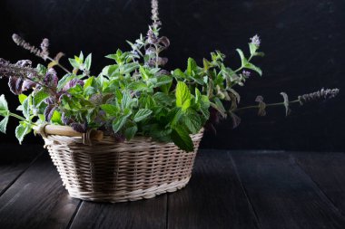 Taze yeşil nane üzerinde koyu arka plan ile sepet. 