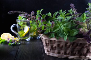 Taze yeşil nane ve iki cam bardak taze nane çayı üzerinde koyu arka plan ile sepet.