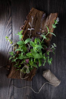 Koyu arka plan ağaç kabuğu üzerinde taze yeşil nane demet.