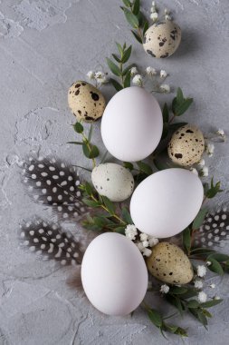 Paskalya bıldırcın, tavuk yumurtası ve okaliptüs yaprağı dal ile Paskalya bahar dekoratif kompozisyon. Gri beton ile bir arka plan üzerinde metin için yer.