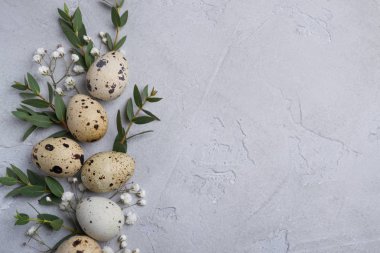 Bıldırcın yumurta ve okaliptüs yaprağı dal ile Paskalya bahar dekoratif kompozisyon. Gri beton ile bir arka plan üzerinde metin için yer.