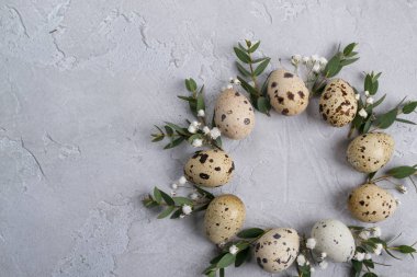 Paskalya kartı veya davet için daire sınır. Paskalya çelenk ile okaliptüs Paskalya bıldırcın ve yaprak dal. Gri beton ile bir arka plan üzerinde metin için yer.