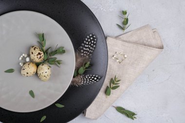 Paskalya Festival tablo ile gri plaka, bıldırcın ayarlama, okaliptüs yaprağı dal yumurta. Bir gri beton zemin üzerinde.