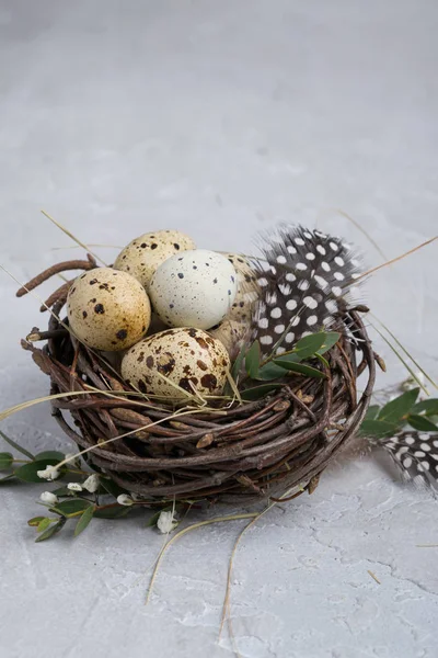 Гніздо Перепелині Яйця Великодні Концепції Щасливої Пасхи Або Весна Вітальна — стокове фото