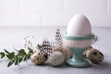 Paskalya Festival tablo ayarını Bıldırcın yumurta ve tavuk yumurta yumurta Kupası okaliptüs yaprağı dal ayakta. Bir gri beton zemin üzerinde.