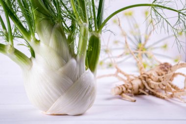 Yeşil ham rezene Ampüller kaynaklanıyor ve yaprak, rezene çiçekler ve kök beyaz arka plan üzerinde pişirmek hazır