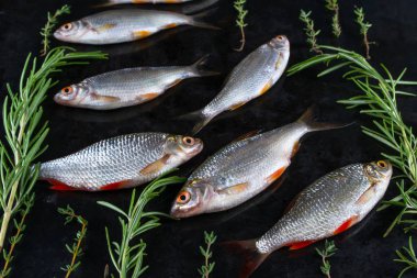 Frash ham nehir balığı otlar ve buz parçaları siyah metal zemin üzerine. 