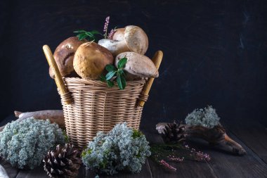 Taze mantar sepeti, koyu ahşap arka plan üzerinde ormandaki hasat çörek.