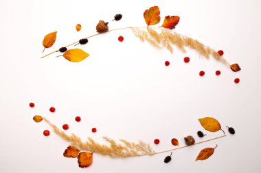 Kurumuş sonbahar çimenleri, sarı yapraklar ve beyaz arka planda kırmızı kızılcık üzümleri. Uzayı kopyala Düz yatıyordu.