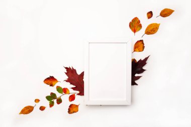 Sonbahar arkaplanı ve doğal dekor. Beyaz fotoğraf çerçevesi, sonbahar kurumuş yaprakları. Düz yerde, üst tarafta. Sezonluk promosyonlar ve indirimler için yer kopyala