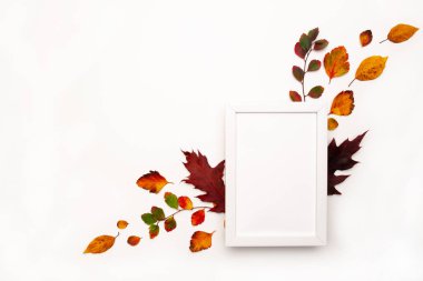 Sonbahar arkaplanı ve doğal dekor. Beyaz fotoğraf çerçevesi, sonbahar kurumuş yaprakları. Düz yerde, üst tarafta. Sezonluk promosyonlar ve indirimler için yer kopyala