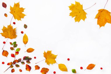 Sonbahar sınırı beyaz arkaplanda sonbahar yapraklarından oluşur. Düz yerde, üst tarafta. Sezonluk promosyonlar ve indirimler için yer kopyala.