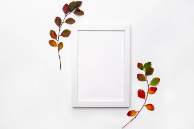 Sonbahar yapraklarının dalları beyaz arka planda izole. Düz yatıyordu. Sezonluk promosyonlar ve indirimler için yer kopyala