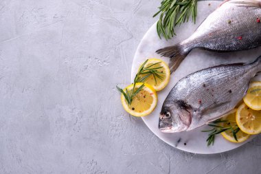 İkisi çiğ balık pişirmeye hazır. Gri arka planda mermer tahtada otlar, limon ve zeytinyağı var. Kopyalama alanı olan. Üst görünüm