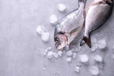 Gri bir arkaplanda buz küpleri üzerinde çiğ balık. Fotokopi alanı ile üst manzara..