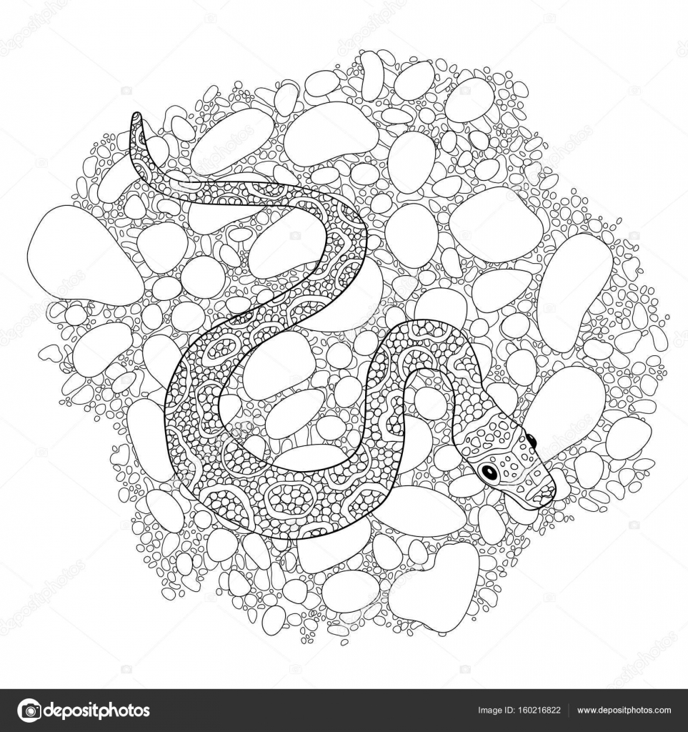 Vecteur dessiné main doodle snake contour décoré avec des ornements Prªt pour adulte anti livre de coloriage de stress — Vecteur par alenkalink