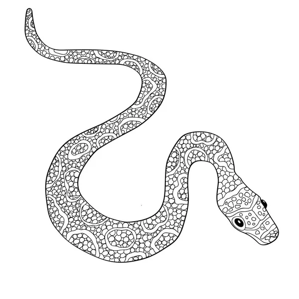 Doodle desenhado à mão com contorno de cobra elapidae selva ou serpente  zoológica enrolada em um círculo víbora venenosa tropical ou oeste selvagem  em vista superior vetor conceito de vida selvagem cobra