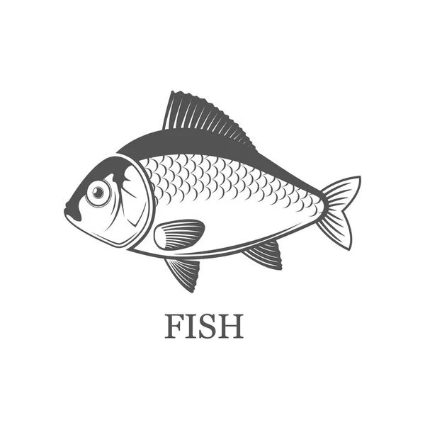 고립 된 물고기 로고 벡터 회색 그림입니다. 블랙 아이콘. — 스톡 벡터