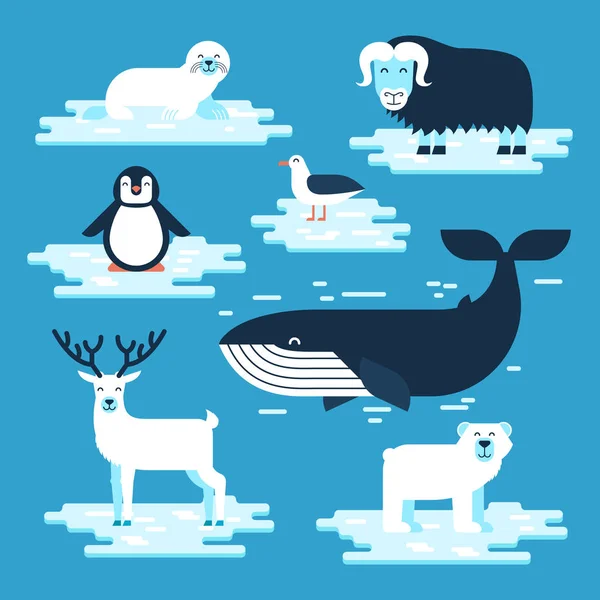 Arctic and Antarctic animals set, vector flat design illustration. Polar animals for infographic. White bear, penguin, musk-ox, blue whale, petrel, seal, reindeer — Stock Vector