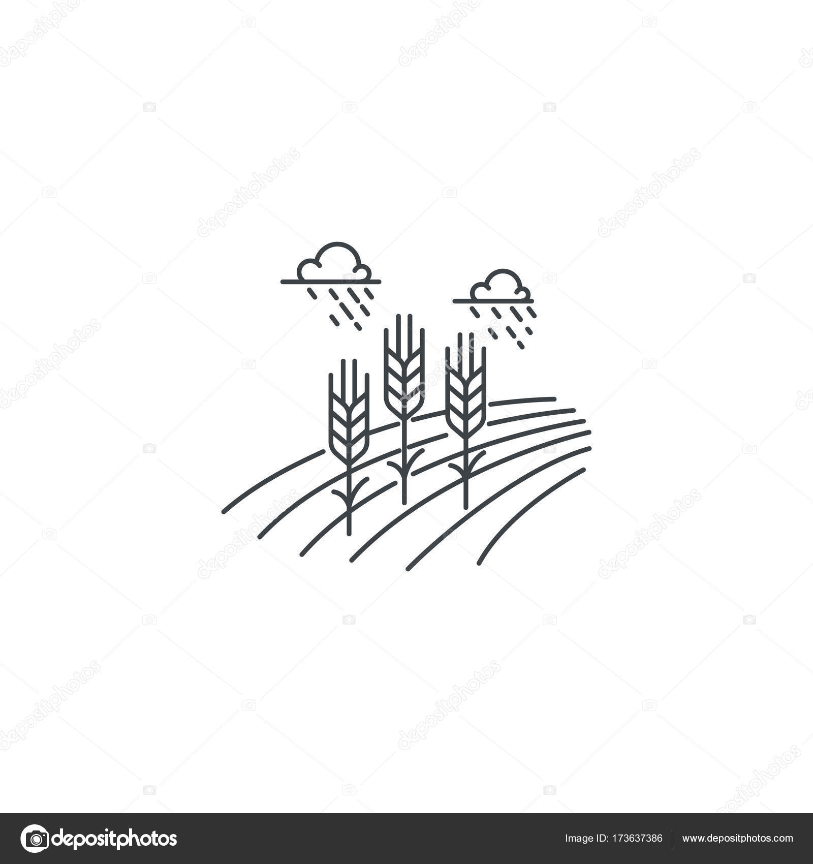 Farm wheat line icon. Outline illustration of wheat field vector linear  design isolated on white background. Farm logo template, element for  agriculture business, line icon object. Stock Vector Image by ©Bezvershenko  #173637386
