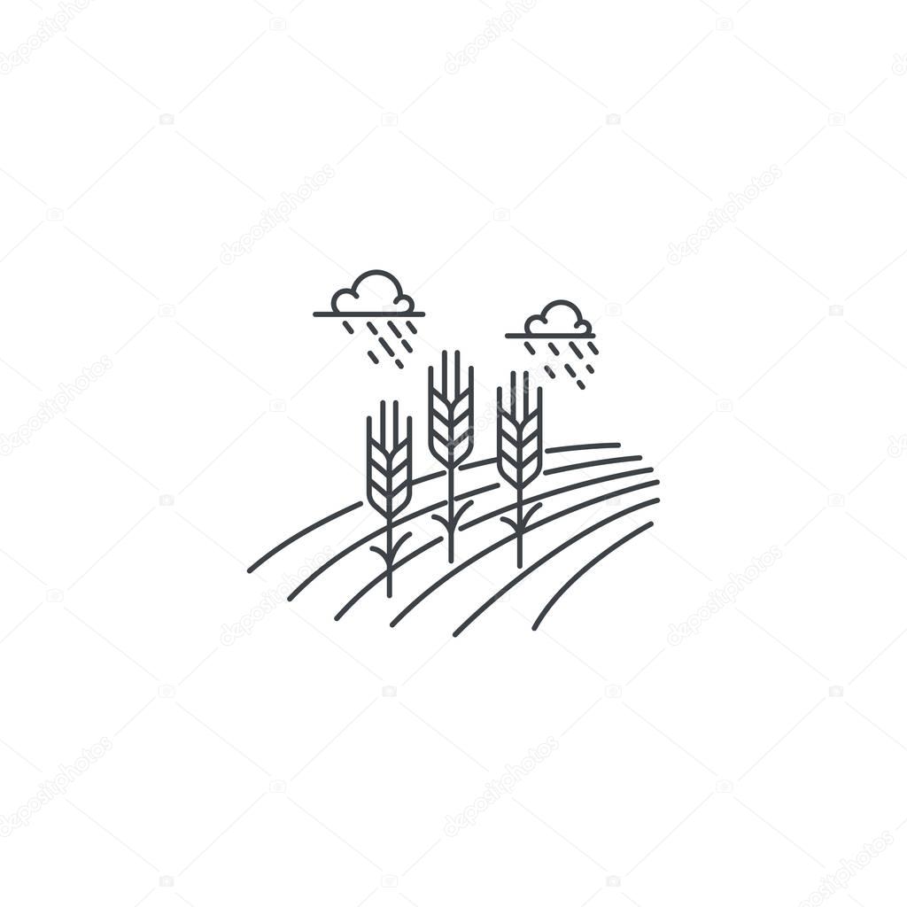 Farm wheat line icon. Outline illustration of wheat field vector linear design isolated on white background. Farm logo template, element for agriculture business, line icon object.