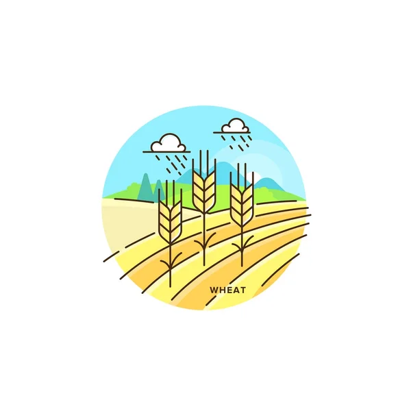 Farming field vector flat illustration in linear design. The wheat and farm landscape isolated on white background. Eco farming icon, logo in flat design, concept stock vector, element of agriculture — Stock Vector