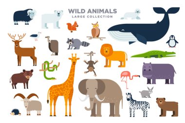 Beyaz arka plan üzerinde izole düz tasarım vahşi hayvanlar büyük kümesi. Fil, aslan, balina, zürafa, zebra ve diğer hayvanlar düz illüstrasyon vektör
