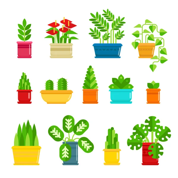 Conjunto de iconos vectoriales de plantas de interior en diseño plano. Colección de varias plantas en macetas aisladas sobre fondo blanco. Iconos de plantas de interior y elementos infográficos - ilustración del vector de stock . — Archivo Imágenes Vectoriales