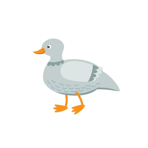 Cute duck vector flat illustration isolated on white background. Farm animal duck cartoon character. — Stock Vector