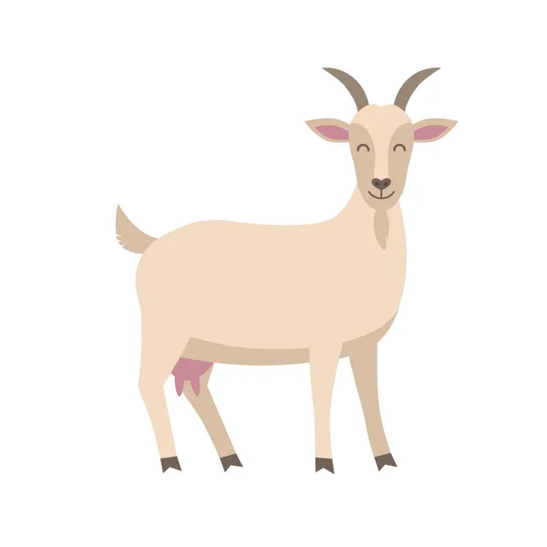 Nette Ziege Vektor flache Abbildung isoliert auf weißem Hintergrund. Zeichentrickfigur Nutztier Ziege. — Stockvektor