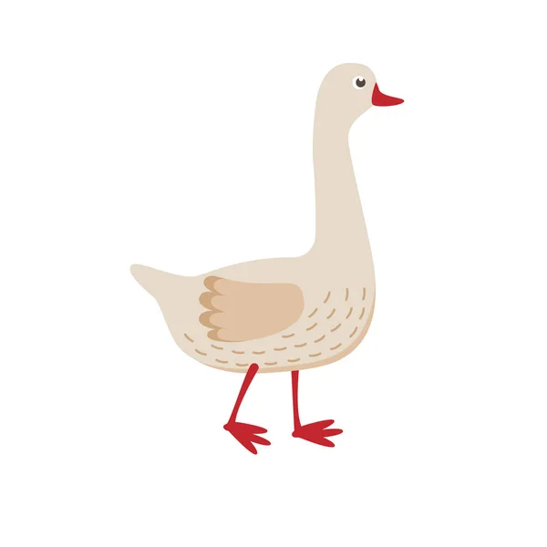 Cute goose vector flat illustration isolated on white background. Farm animal goose cartoon character. — Stock Vector