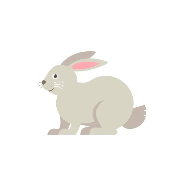 Rabbit vector flat illustration isolated on white background. Cute farm animal rabbit icon cartoon character. — Stock Vector