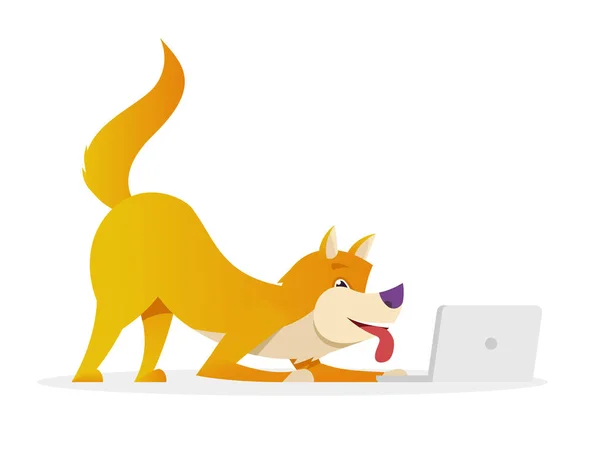 Cão engraçado com laptop levanta sua cauda acima da ilustração plana vetorial. Cão personagem de desenho animado isolado no fundo branco . — Vetor de Stock