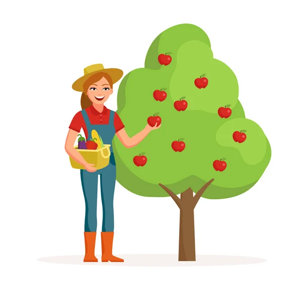Woman farmer near apple tree holding ripe red apple and smiling with bucket of vegetables. Farming concept illustration in flat design. Happy gardener cartoon character isolated on white background. — Stock Vector
