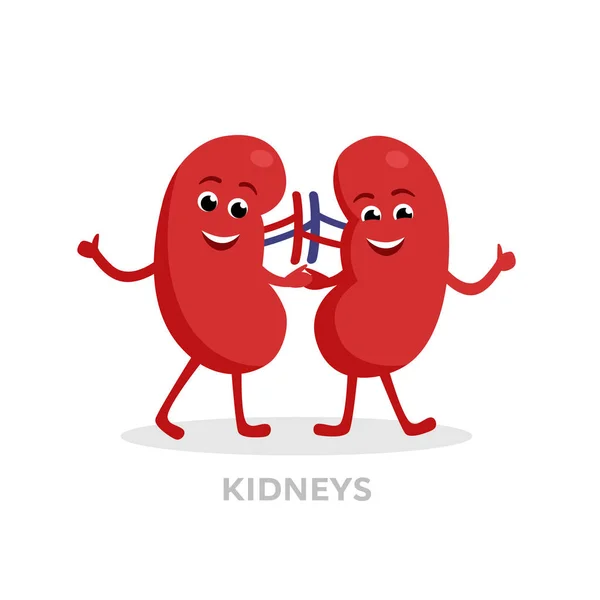 강한 건강 한 신장 문자 흰색 배경에 고립 된 만화. 행복 한 신장 아이콘 벡터 평면 디자인입니다. 건강 한 기관 개념 의료 일러스트 레이 션. — 스톡 벡터
