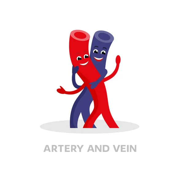 Caricatura de vena y arteria sana aislada sobre fondo blanco. Venas felices icono vector diseño plano. Concepto de vasos sanguíneos saludables ilustración médica . — Vector de stock