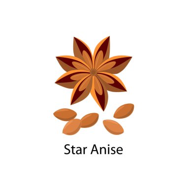 Beyaz zemin üzerinde izole edilmiş düz tasarım yıldız anason ve anason tohumları vektör çizimi.