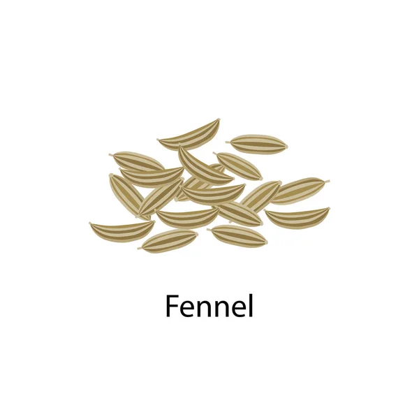 Ilustrasi vektor benih fennel pada desain datar diisolasi pada latar belakang putih . - Stok Vektor
