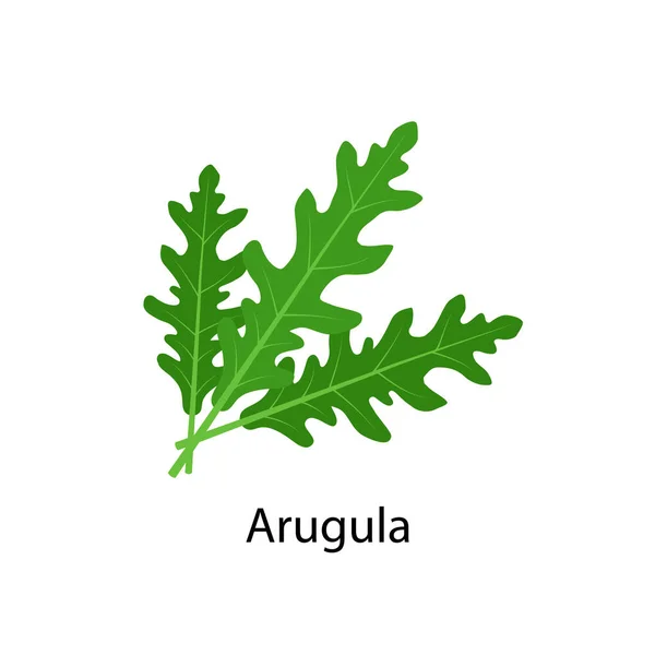 Arugula mauste - vektorin kuvitus litteässä, valkoisella pohjalla eristetyssä mallissa . — vektorikuva