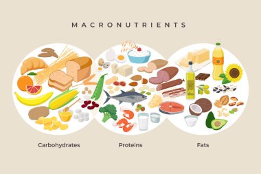 Ana besin grupları, makro besinler. Karşılaştırıldığında karbonhidratlar, yağlar ve proteinler, yassı tasarımda ikonlar. Diyet, sağlıklı beslenme konsepti. Makrovektör illüstrasyonu, bilgi elementleri.