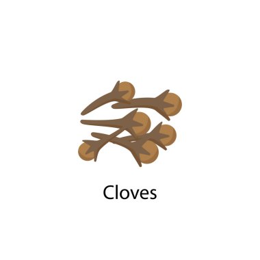 Beyaz arkaplanda izole edilmiş düz dizayn baharat vektör illüstrasyonunu destekler.