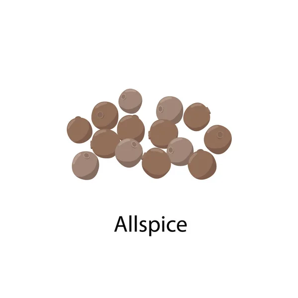 Allspice - vector illustratie in plat ontwerp geïsoleerd op witte achtergrond. Hele allspice bessen vector icoon. — Stockvector