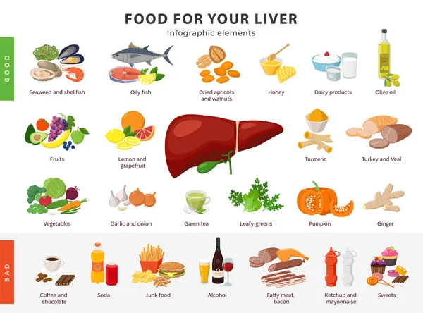 Alimentos para Hígado elementos infográficos aislados sobre fondo blanco. Alimentos saludables y poco saludables para el hígado humano y los iconos de la salud de la vesícula biliar en diseño plano . — Vector de stock