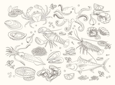Deniz ürünleri tasarım elementleri koleksiyonu, menü şablonu için el çizimi vektör grafikleri. Deniz balığı, suşi, istiridye, midye, ıstakoz, kalamar, ahtapot, yengeç, karides, somon, kabuklu deniz hayvanı, ton balığı..