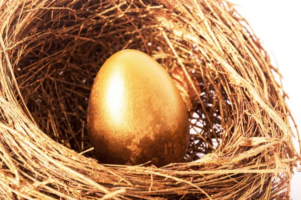 Golden egg in the gold nest