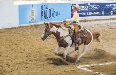 Uluslararası Mariachi ve Charros Festivali