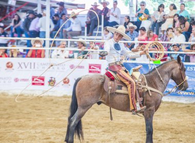 Uluslararası Mariachi ve Charros Festivali