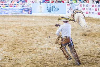 Uluslararası Mariachi ve Charros Festivali