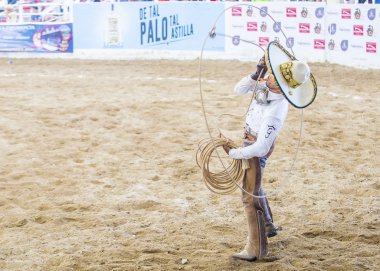Uluslararası Mariachi ve Charros Festivali